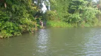 Elephant Corridori Camping Hotels in Монараґала