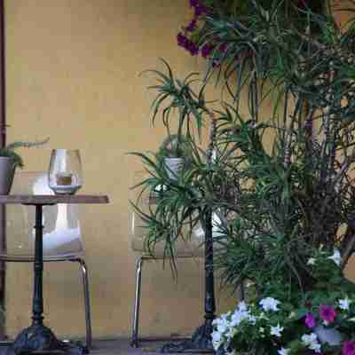 Hôtel Panorama Others