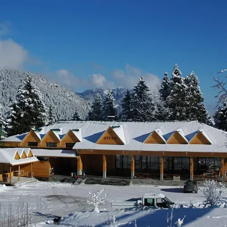 Hamsiköy Zitaş Bungalov & Restoran