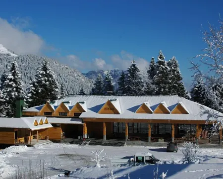 哈姆希克伊 Zitaş 鄉村小屋 & 餐廳 馬奇卡酒店