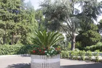 Hotel Boomerang Roma
