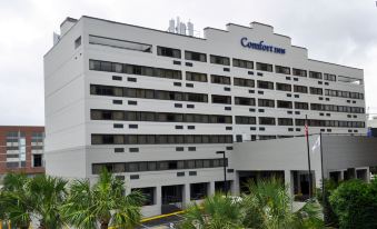 Comfort Inn Downtown Charleston