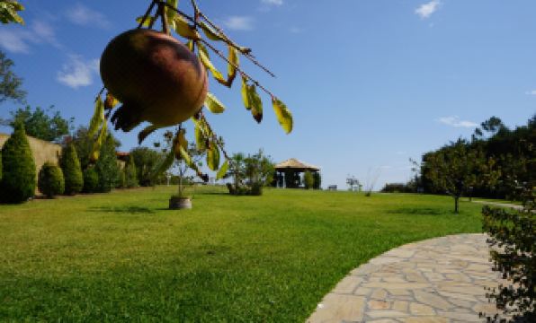 Villa Orama