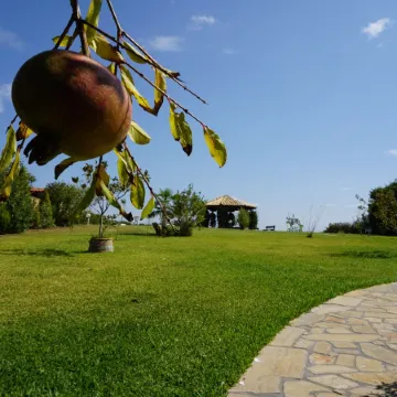 Villa Orama