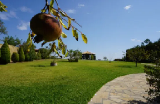 Villa Orama Отели в г. 