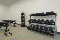 Holiday Inn Express & Suites COLUMBUS NORTH by IHG - Gym