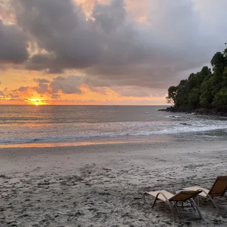 Luxurious, Modern Suite in the Rainforest with Ocean Views and 3 Resort Pools