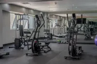 Jose Antonio Deluxe - palestra