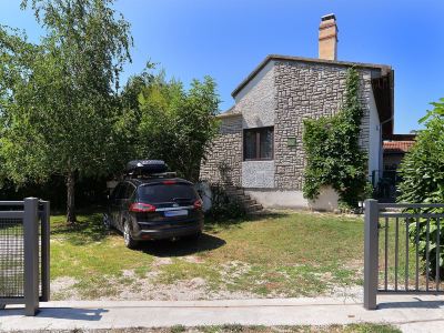 Apartment 1950