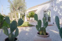 Villa Ophelia Stunning Pool Hotels in Fontane Bianche