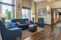 Comfort Inn & Suites Dimondale - Lansing
