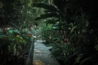 Jaguarundi Jungle Lodge - Monteverde