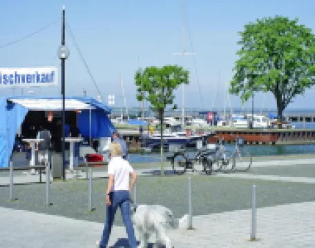 Ferienwohnung, Ribnitz-Damgarten