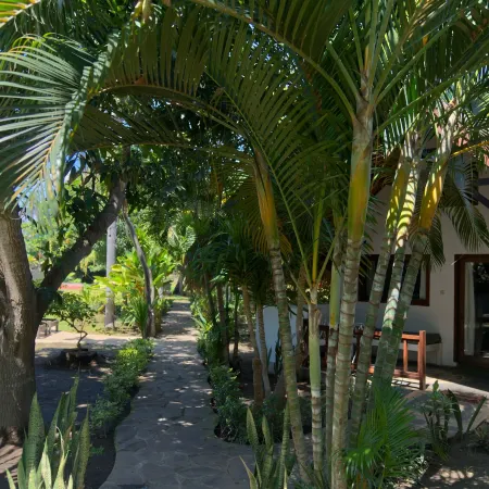 The Social - Begadang Gili Air