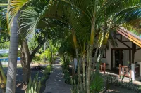 The Social - Begadang Gili Air - Pet friendly