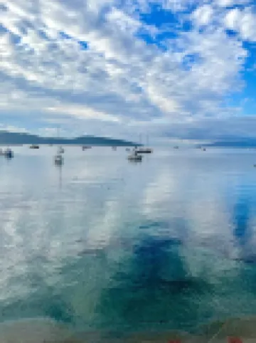 沖浪者大篷車美食酒吧及套房