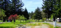 Redwood Meadows RV Resort