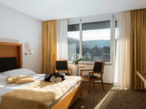 Hotel Vitarium Superior - Terme Krka Hotels in Novo Mesto