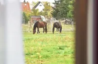 Prima Inn Hotel & Hof Neuruppin Hotels in Fehrbellin