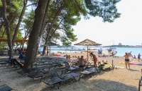 Villa la Meravigliosa - Villas