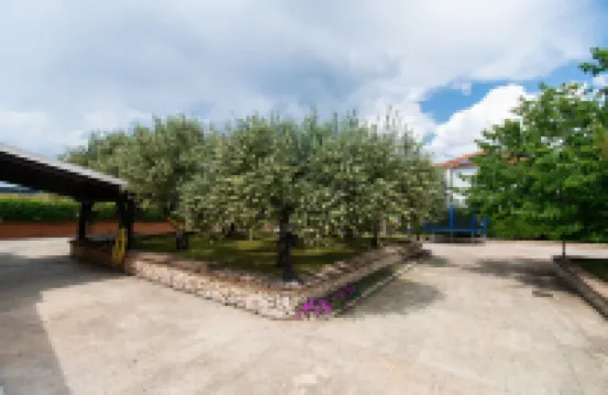 Villa Jakov Hotels in 