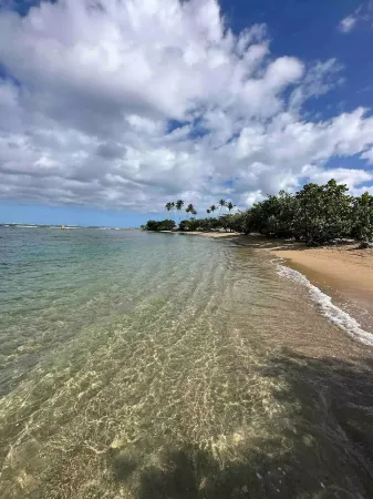 Lovely Dorado Beach Villa With King Size Bed Отели в г. Дорадо