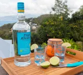 BEL'O... LOVELY VILLA WITH SEA VIEW, SWIMMING POOL AND CARBET.