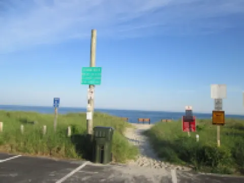 78 Seaview Ave, rear unit. Big Private Yard, 10 Minute Walk to Beaches!