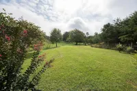 Climb On Inn ~Explore Red River Gorge & Comfort ~Perfect Location ~Pet Friendly