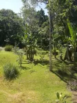 Luxury Air-conditioed home in Cahuita, 4 min walk from the beach! Hotels in 