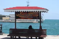 Location Location Location II - Simply The Best On The Beach! - Beach
