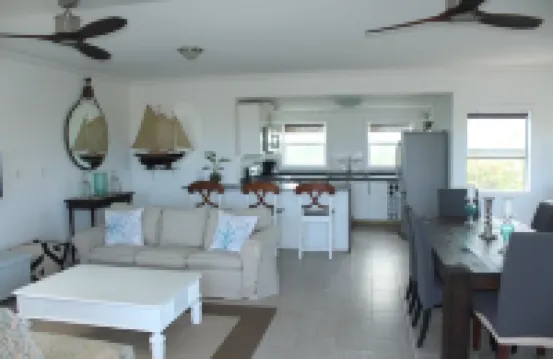 Trade Winds - Oceanview, Private Pool, Short Walk To Pink Sand Beach, Central.