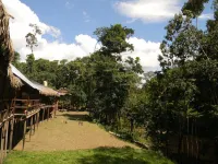 Jacamar Lodge Expeditions Hôtels à : 