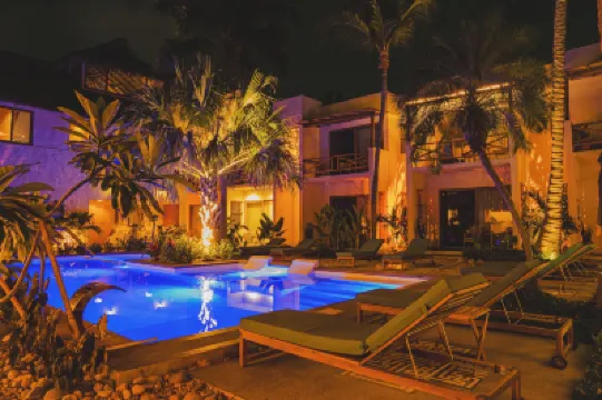 비드몬트 빌라 스파  호텔