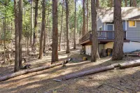 Hike, Ski & Sip: Arnold Cabin 4 Mi to State Park! - balcony