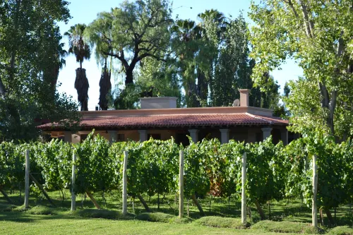 Posada Verde Oliva Hotels in Departamento de Guaymallén