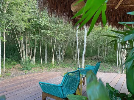 Casa Kaan Calakmul Отели в г. Калакмуль