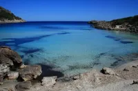 Apartaments la Perla Negra Hotels in Llevant