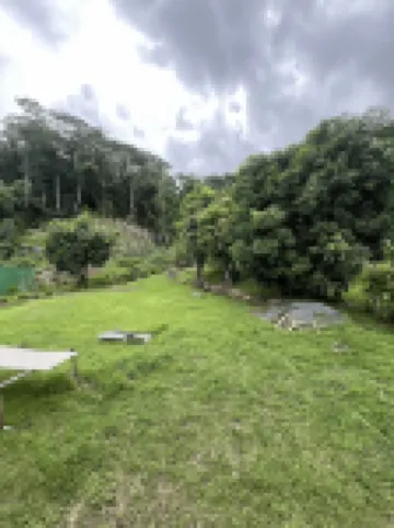 Moana Lodge Các khách sạn ở Raiatea