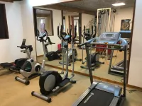Logis Hotel Oasis - Gym