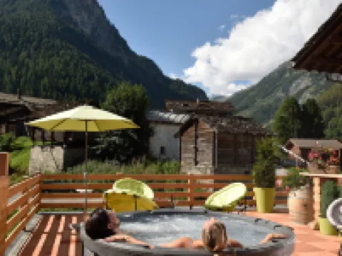 Hotel les Mélèzes Hotels in Evolene