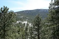 Fawn Valley Inn- 278 Condo