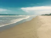 Surf Studio Beach Resort - Ocean View