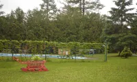 Auberge Alpine Inn