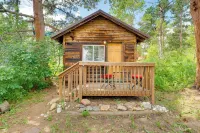Minnehaha Allenspark Cabin Near Hiking! - Apartments