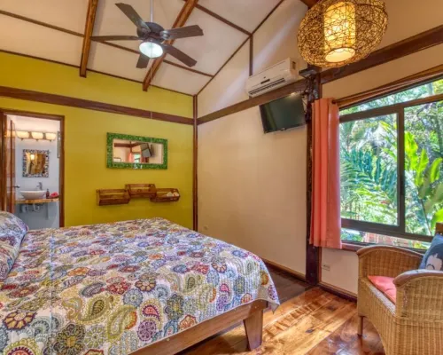 Caribe Town Bungalows فنادق في كوكليس