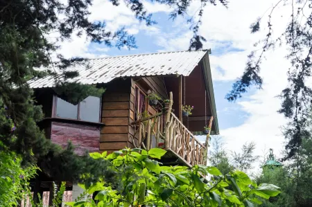 Los Naranjos Town Houses Отели в г. Салькоатитан