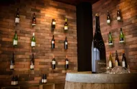 Rheinhessen Inn Gmbh Hotels in Kongernheim