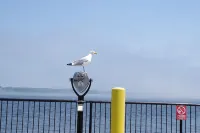 James Pharmacy Bed and Breakfast Hotels in Old Saybrook