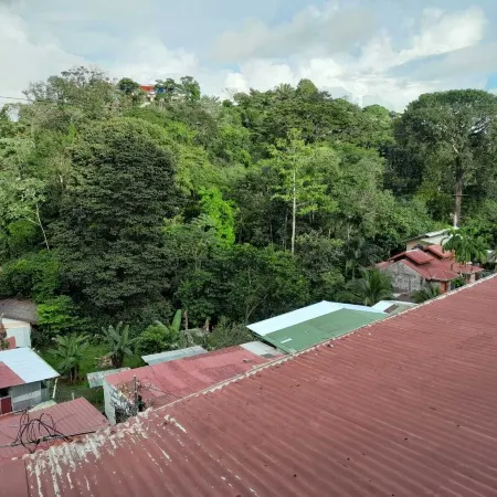 Natural Pacific Suites